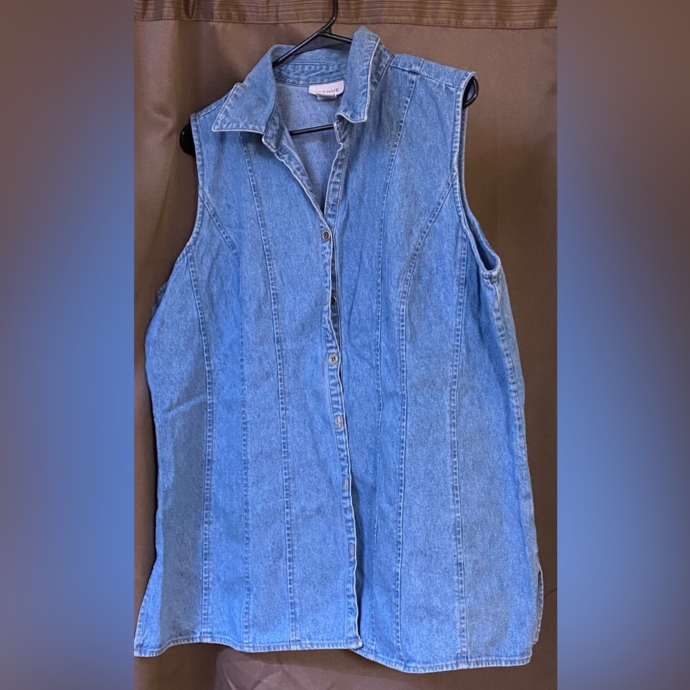 Avenue Blue Denim collared sleeveless top / dress